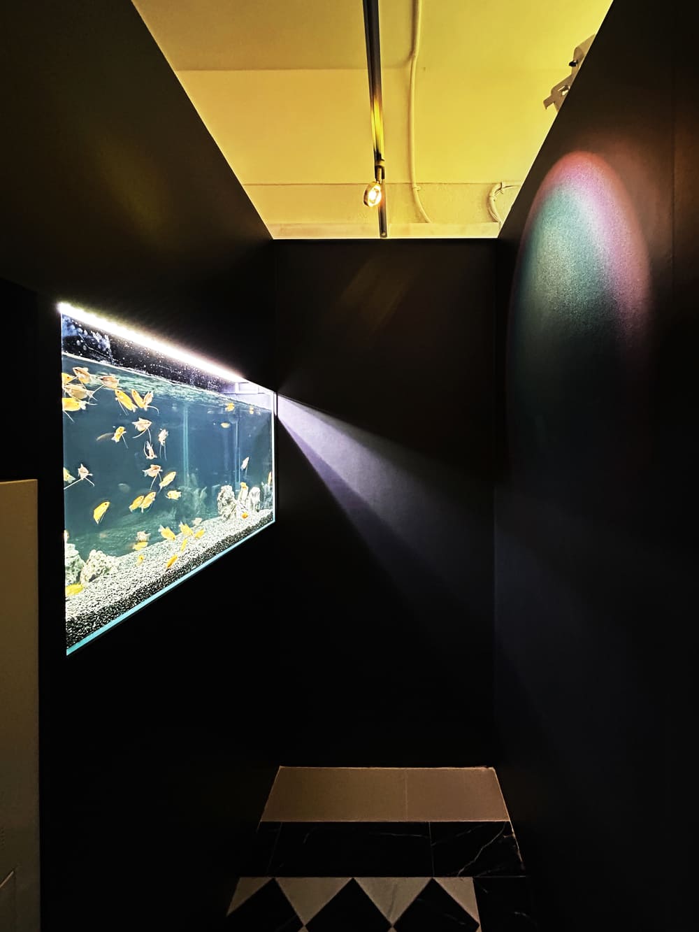 Aqua Booth interior