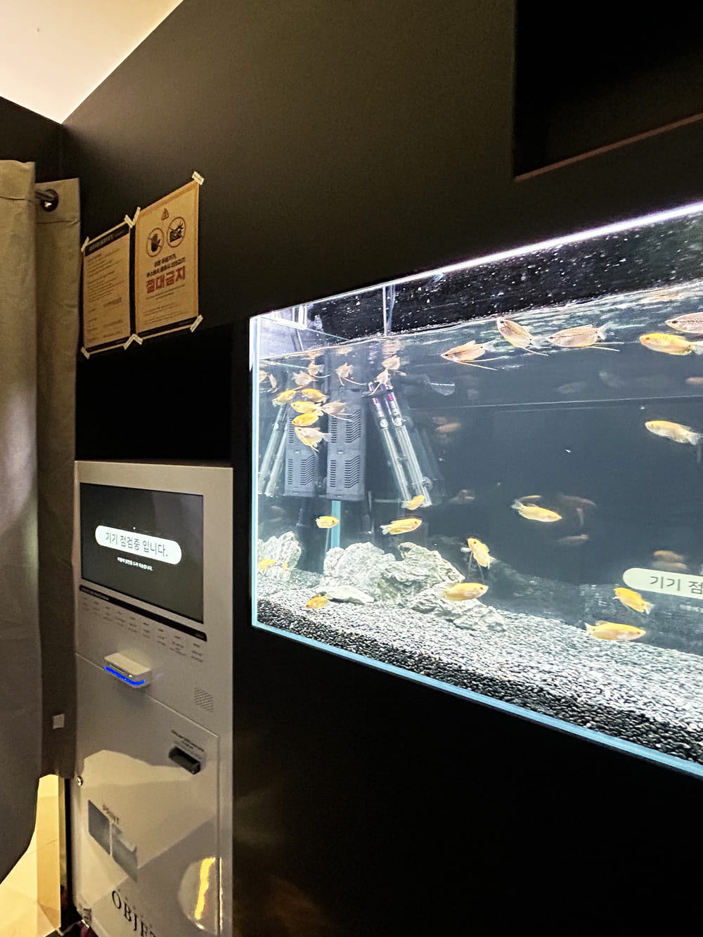 Aqua Booth interior
